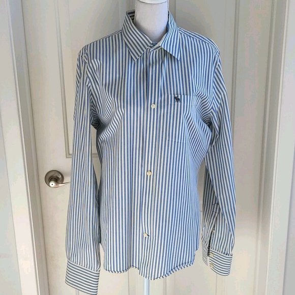 Abercrombie & Fitch Other - Abercrombie & Fitch Dress Shirt